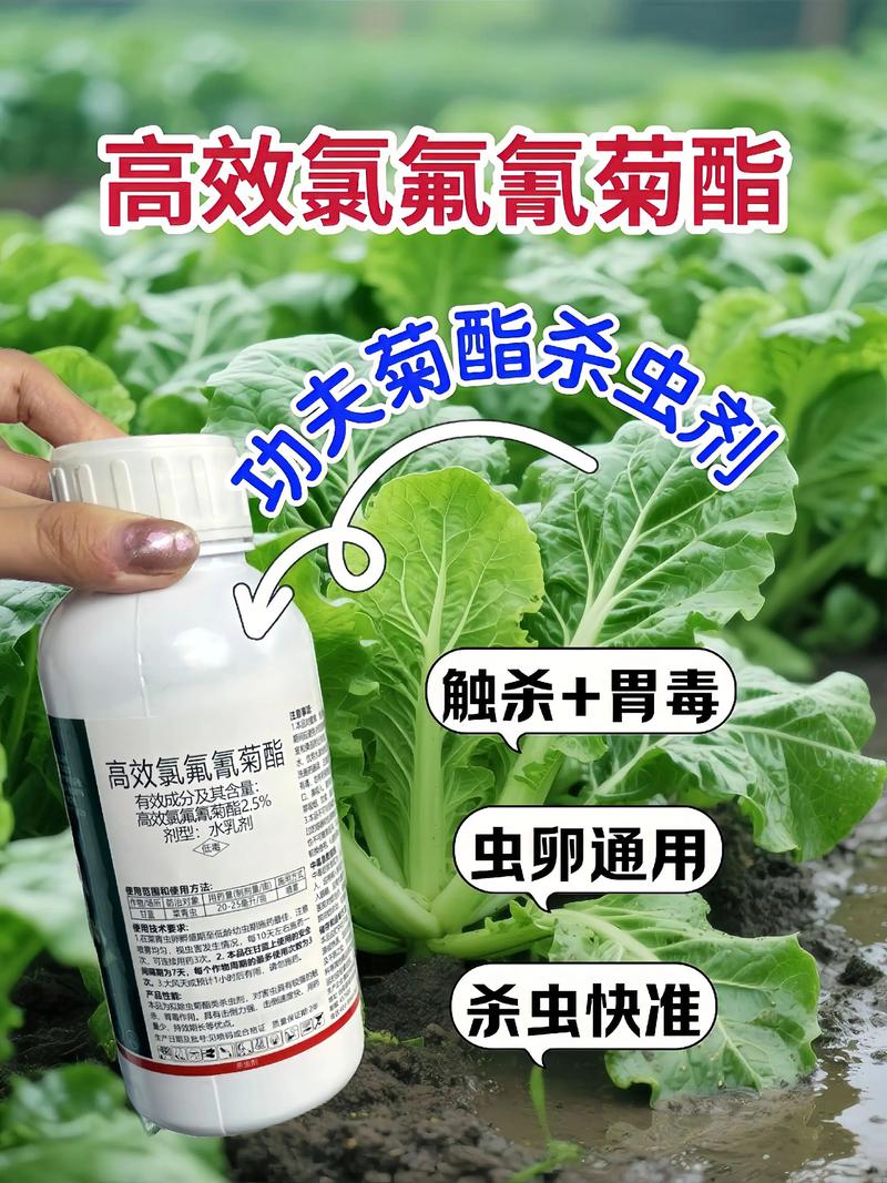 铜梁代生中心:农药对供卵代生妈妈的危害